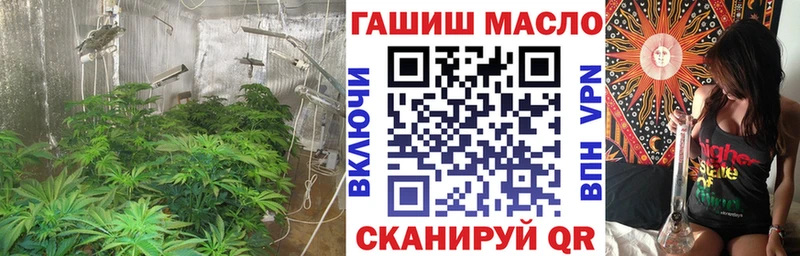 Дистиллят ТГК THC oil  маркетплейс наркотические препараты  Старица  наркотики 