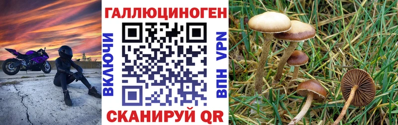где можно купить наркотик  Старица  Псилоцибиновые грибы мухоморы 